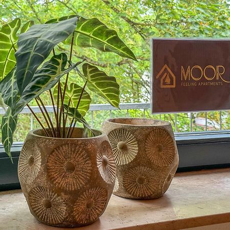 Moor Feeling Apartments 워프스위드 외부 사진