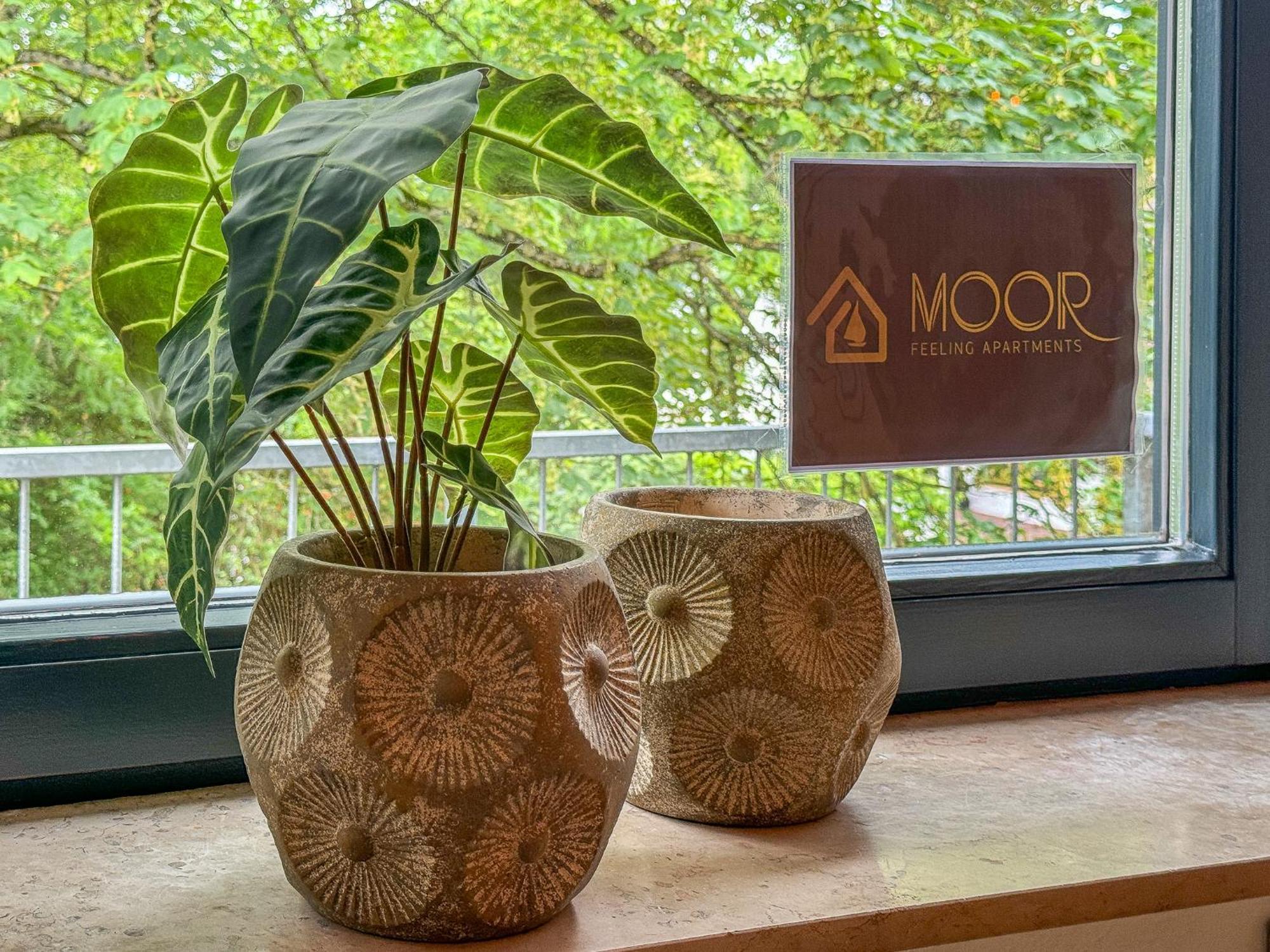 Moor Feeling Apartments 워프스위드 외부 사진